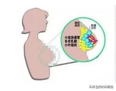 hpv检查大概多少钱（检查出来的一些病根本不需要担心）