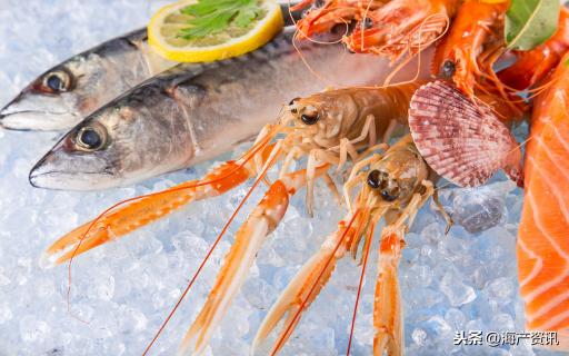 2017年魷魚預計價格（疫情發展二周）