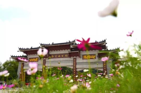 深圳儿童乐园门票价格（免费）