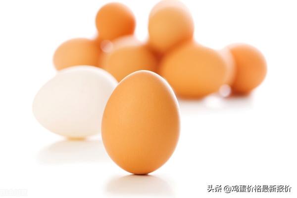 今日鸡蛋价格行情走势分析图（鸡蛋行情分析）
