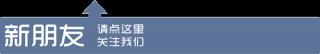 今天全国羊肉价格（行情）