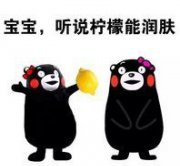 sk2小灯泡中国专柜价格（美白是用）
