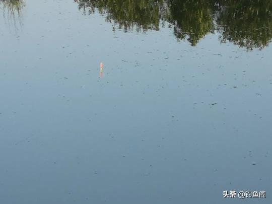 诱云气泡球价格（只吃窝料不吃饵怎么办）