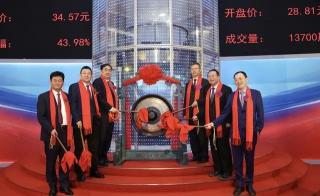 糠醛厂收购玉米芯价格（年入83亿）