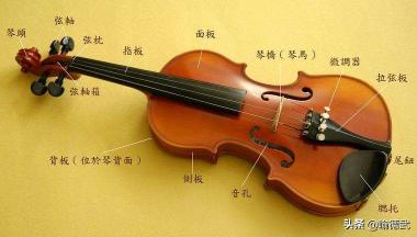 一把小提琴多少钱（一把小提琴的品质如何）