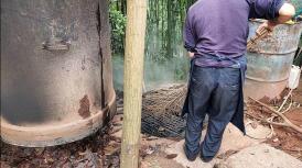 樟油價格是多少錢一斤（樟油價格遭遇滑鐵盧）