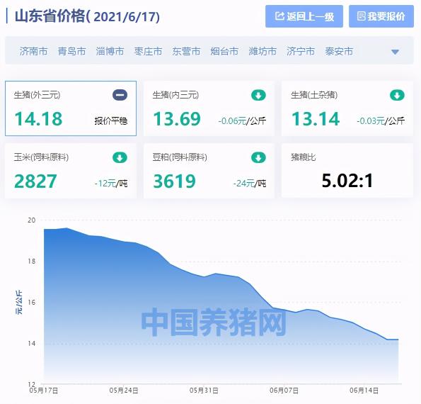 山东今日大猪价格（山东省生猪价格涨跌表）