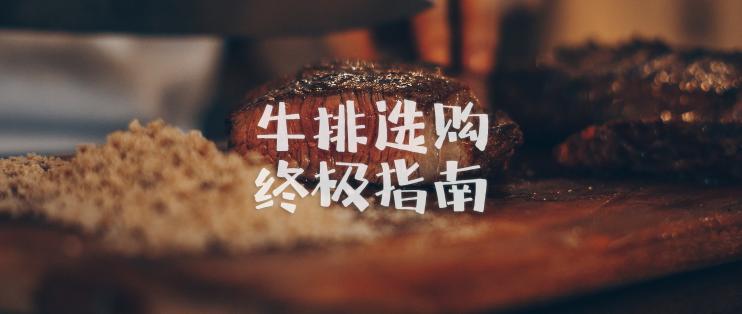 进口牛排价格表（进口牛排选购终极指南）