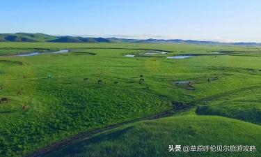 呼伦贝尔5日游价格表（2021呼伦贝尔五日游行程如何安排）