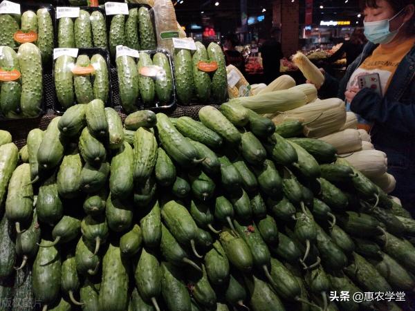 河南黄瓜今日价格（现在黄瓜多少钱一斤）