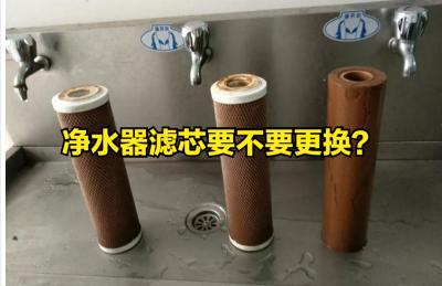 净水器的滤芯多少钱一个（净水器滤芯没必要更换）