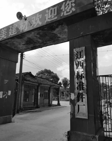 正宗菜籽油多少钱一斤（三线厂9399）