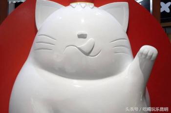 馋小猫三汁焖锅价格表（昆明最最最具人气的餐厅）