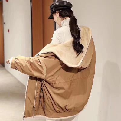 東北貉子皮最新價格表（為什么有的派克服四五百）