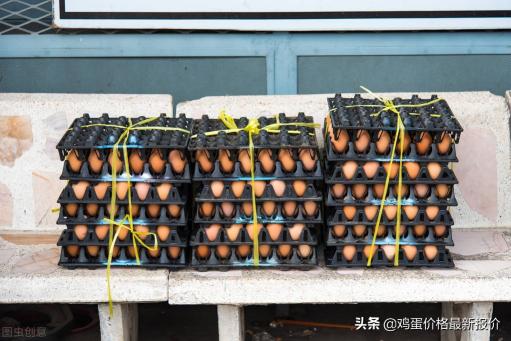 锦州鸡蛋价格今日价（2022年6月3日鸡蛋价格最新报价行情）
