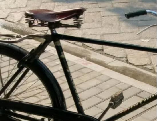 鳳凰自行車價格一覽表（一車坐4人）