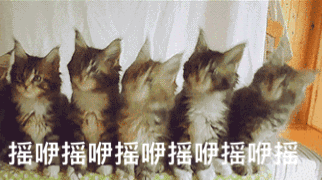 干洗一般多少钱(不怕你笑话)