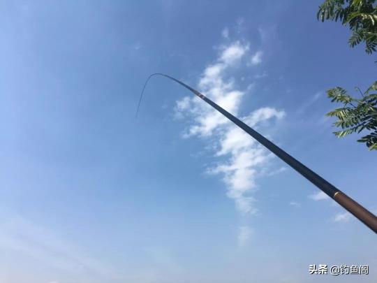 迪佳黑纹鲤鱼竿价格表（7款经典的钓鱼竿）