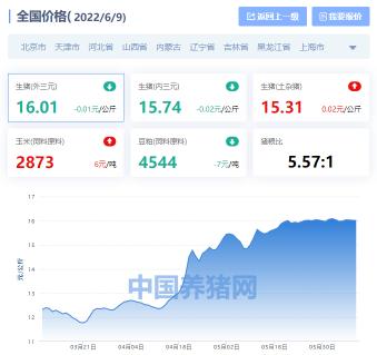 今天全国生猪价格报价（全国生猪价格涨跌表）