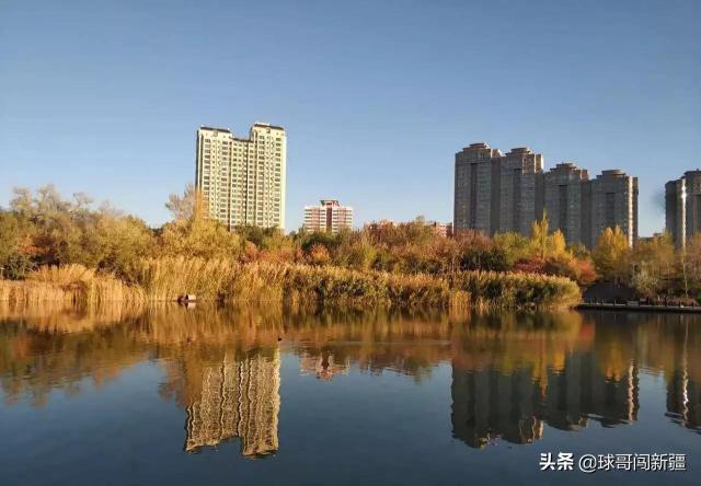 乌鲁木齐粮校小妹价格（乌鲁木齐四大主城区优势分析）