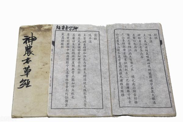 甘草合剂多少钱一瓶（伤寒论）