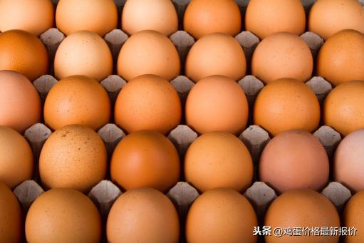 山东鸡蛋价格行情 今日（大美山东鸡蛋价格上涨）
