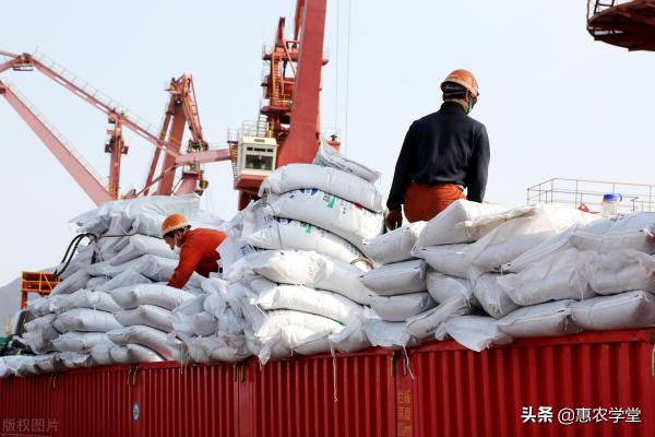 尿素的价格多少钱一吨（尿素部分地区上调50元）