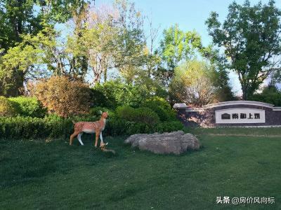 潍坊金碧广场最新价格（潍坊市5）