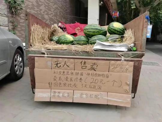 西瓜多少钱（泪目）
