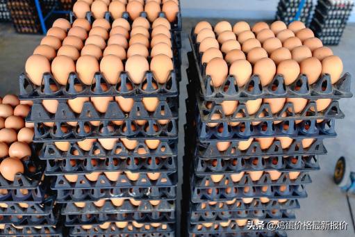 江苏海安西鸡蛋价格（2022年5月14日鸡蛋价格最新报价行情）