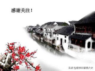 元芙菊价格（警惕身上4处发黄）