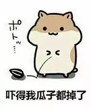 牙博士拔智齿多少钱（你需要了解的关于智齿的七个问题）
