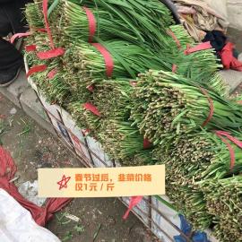 卖菜一般一斤赚多少钱（青菜贩子）