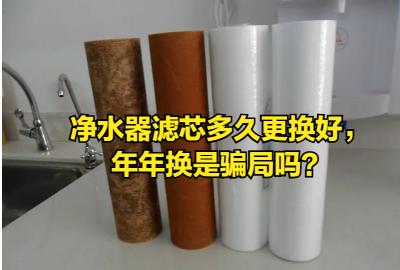 净水器的滤芯多少钱一个（净水器滤芯多久更换好）
