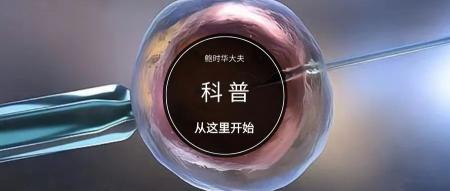 胚胎移植需要多少钱（疾病科普）