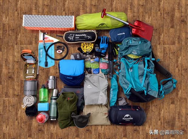 防风多少钱一克（2022年）