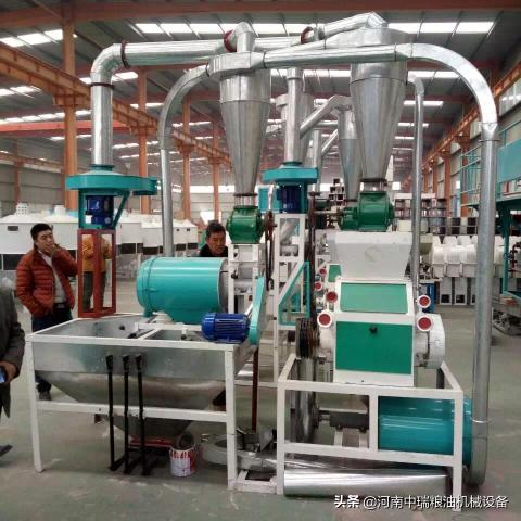 玉米面价格多少钱一斤（加工玉米面的小型机器多少钱）