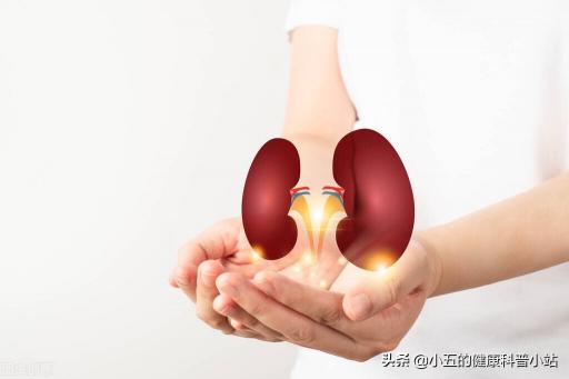 尿毒清多少钱一盒（通腑降浊）