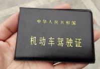半挂多少钱（开大客车和开大货车哪个比较赚钱）