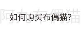 蓝双布偶猫多少钱一只（布偶猫舍哪里买最靠谱）