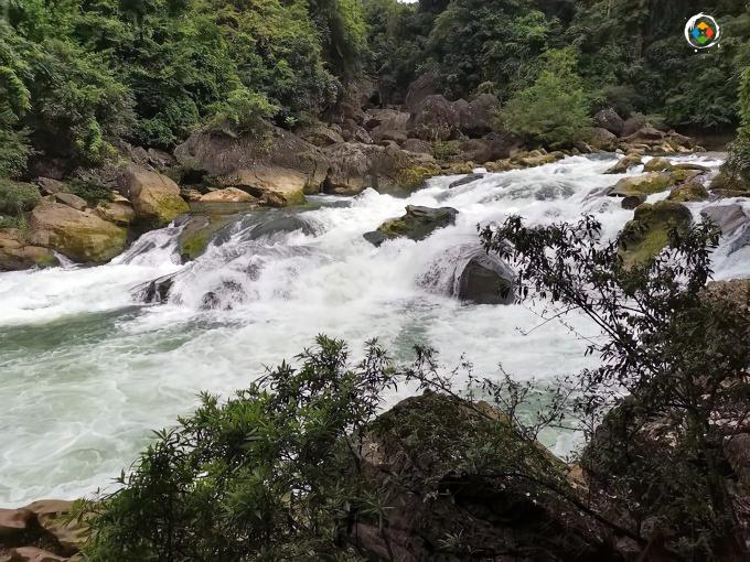 黄果树多少钱一条（去贵州必看的景点）