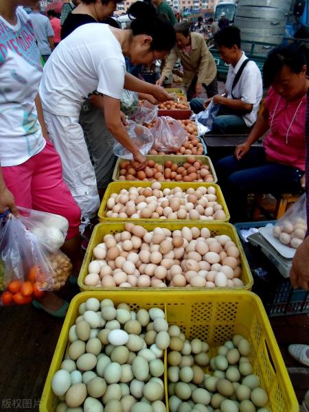 今日鸡蛋批发价格日报（疫情推动囤货）