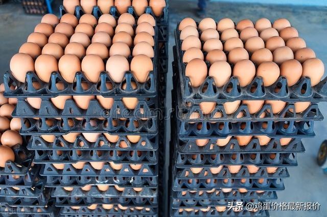 锦州鸡蛋价格今日价（2022年6月10日鸡蛋价格最新报价行情）