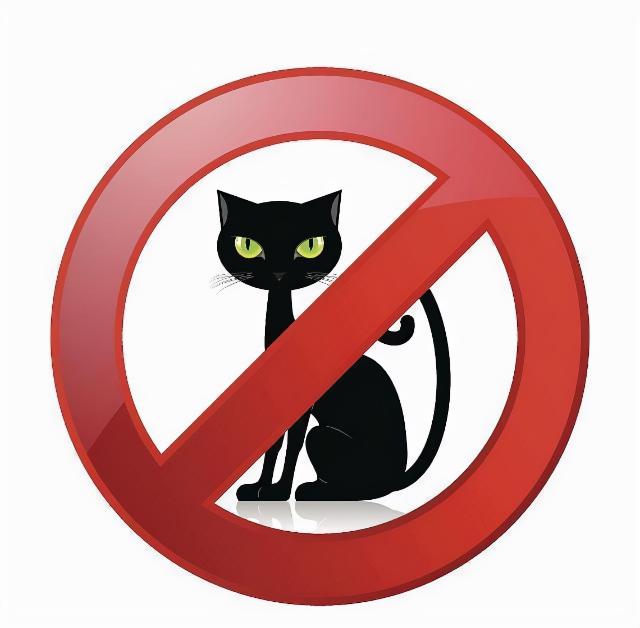 孟加拉豹猫多少钱一只（这几种猫）