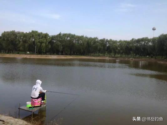 诱云气泡球价格（每次外出垂钓带那么多重复的饵料你不累嘛）