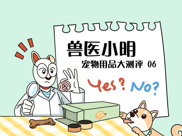 洗牙粉一般多少钱（狗狗得了牙结石）