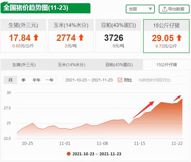 陕西今日仔猪价格（11月23日仔猪价格）
