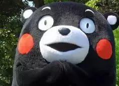 decorte紫苏水价格（什么）