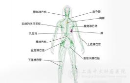 淋巴结切除手术多少钱（癌症淋巴结转移）