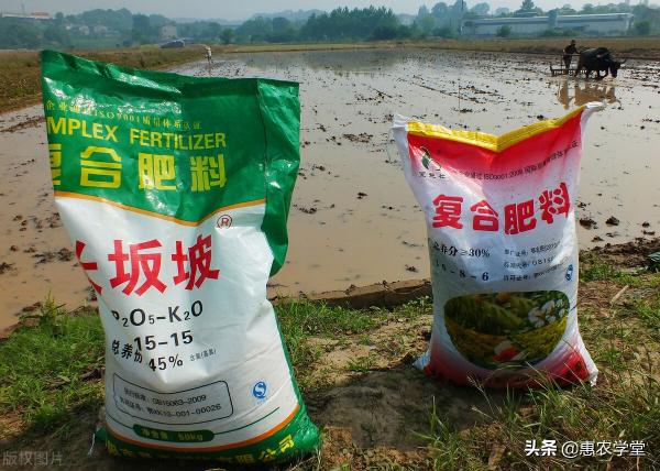 今年化肥价格怎么样（化肥现在多少钱一吨）